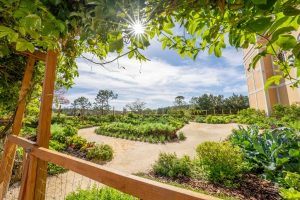 Emma's Creekside Garden is the source of our farm-to-table ingredients at Rosen Shingle Creek.