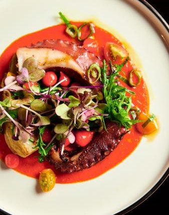 Rosen Shingle Creek - Cala Bella - Octopus