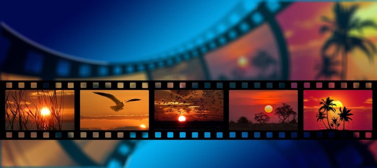 Florida Film Festival - Film Reel depicting tropical scenery