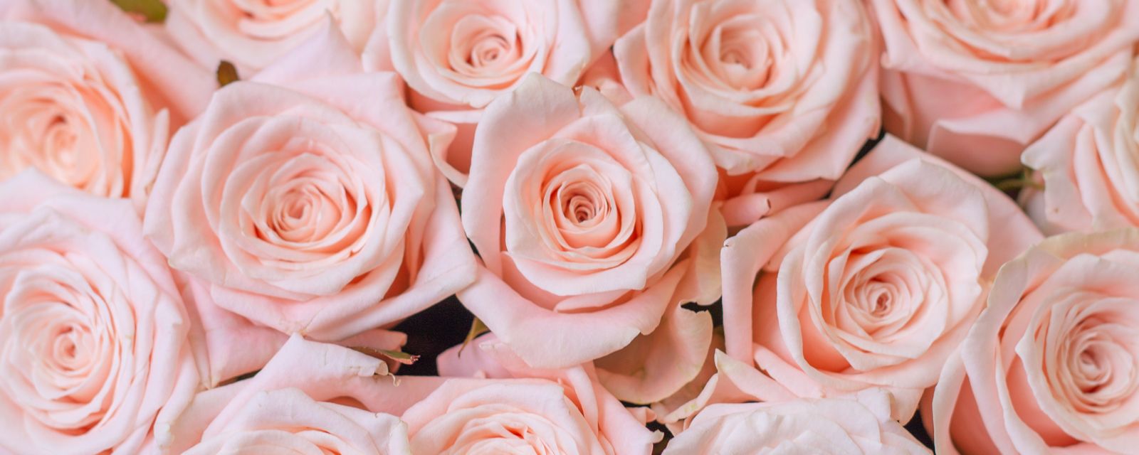 Rosen Shingle Creek Mothers Day Top Header 2024