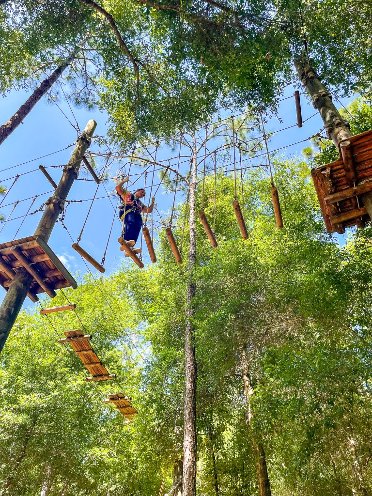 Team Building Experiences Tree Trek